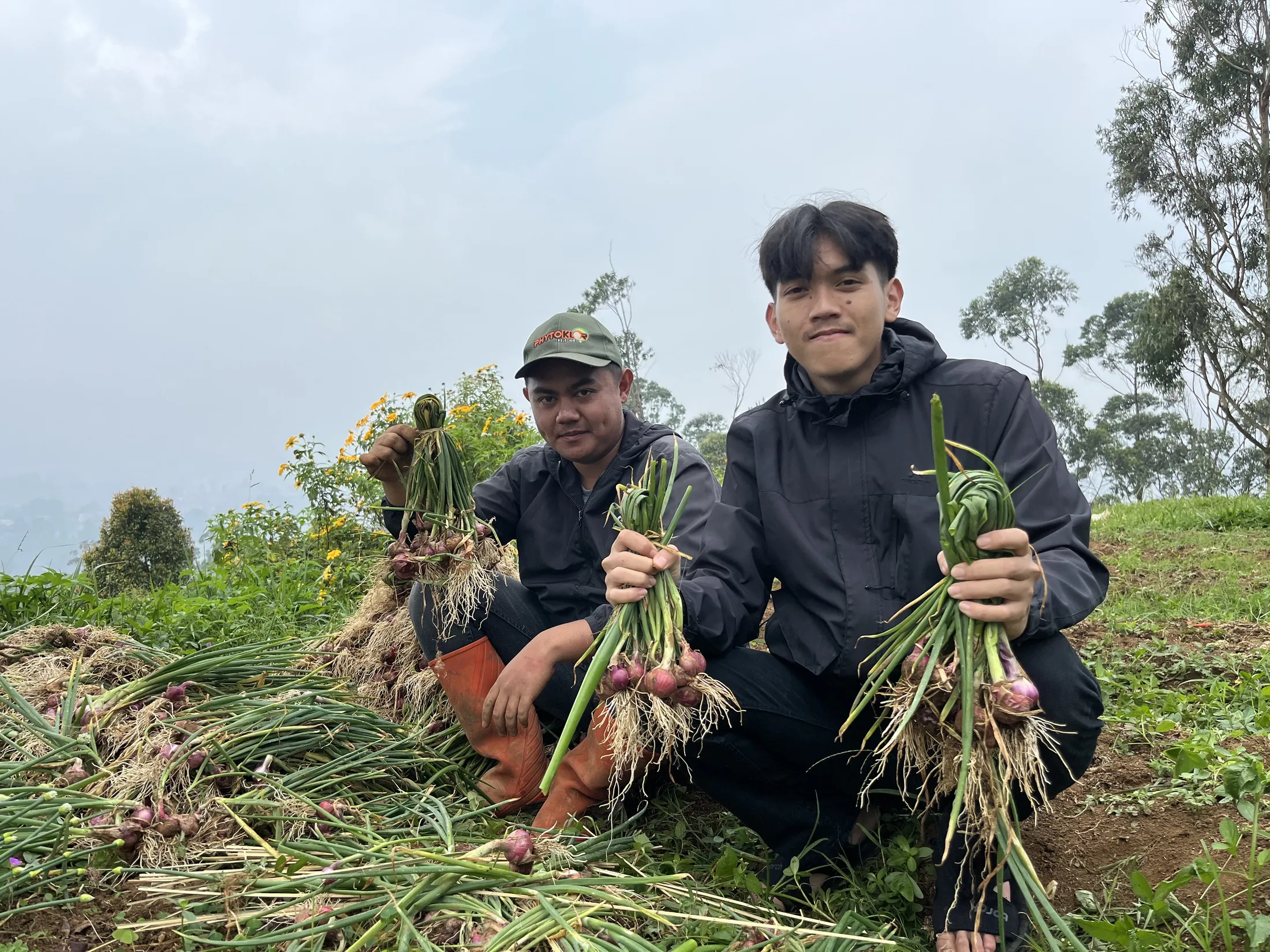 Lembang / BIOS44 Growth